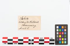 Etikett zu Bronzearmreif (NHMW-PRAE-026618)